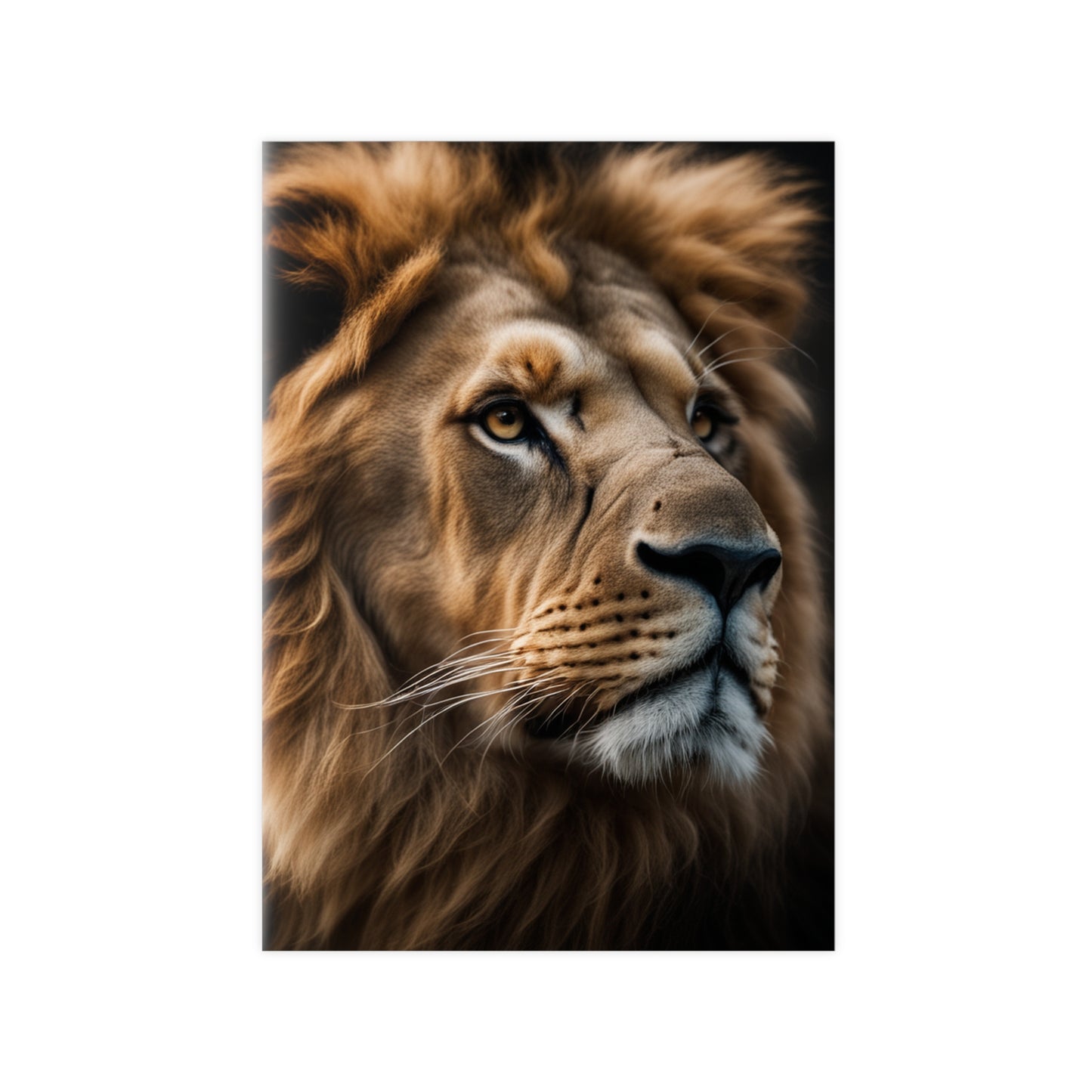 DeiBox - Satin Portrait "Lion"