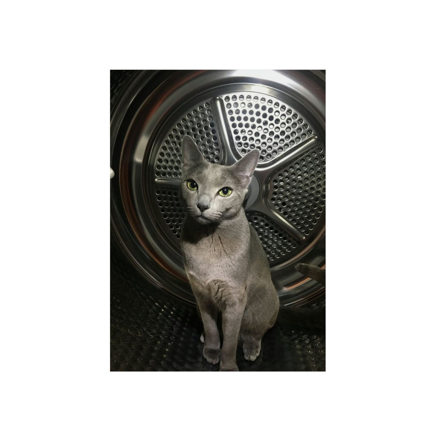 DeiBox - Foto Panel "Skyla"