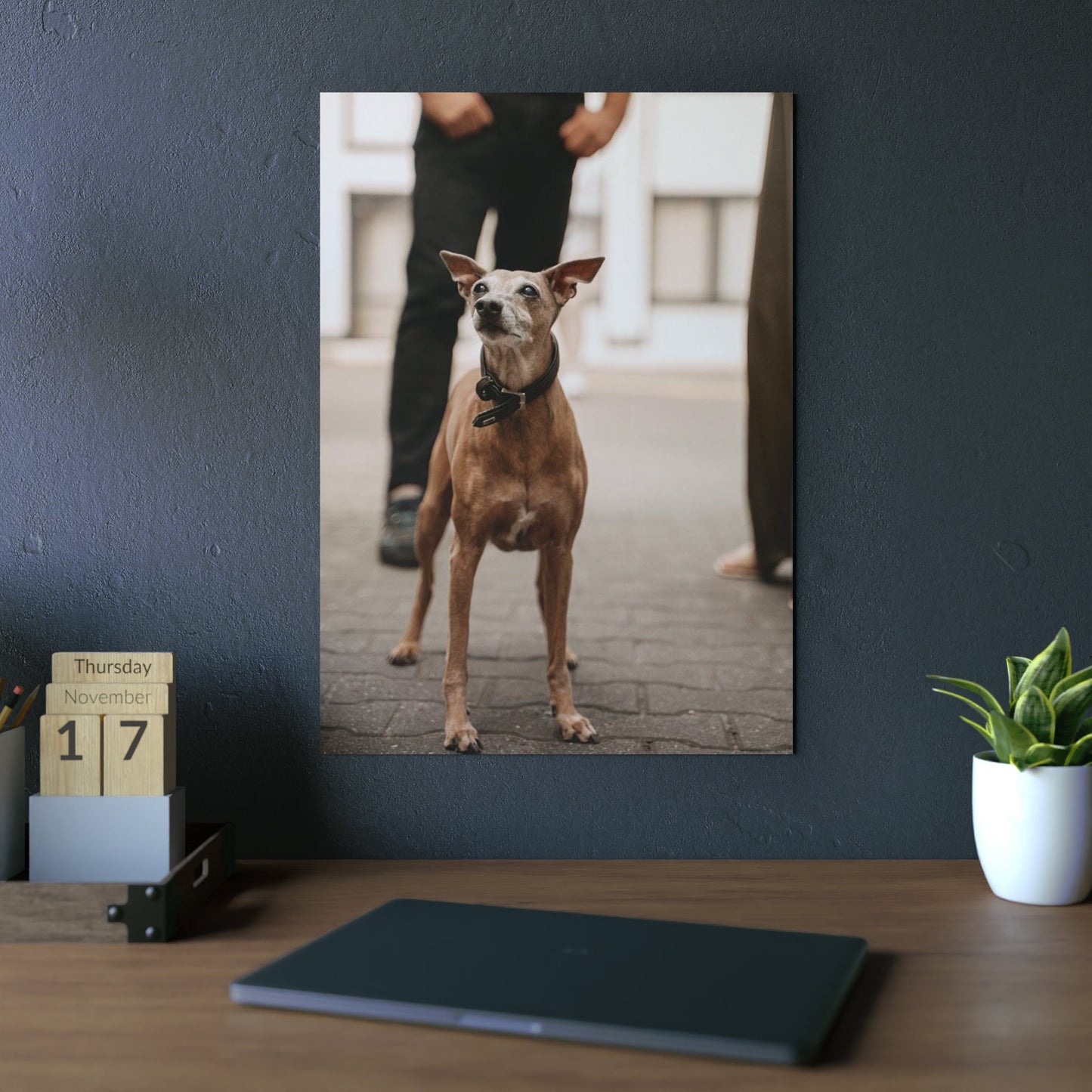 DeiBox - Foto Panel "Baci"