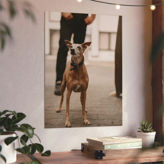 DeiBox - Foto Panel "Baci"