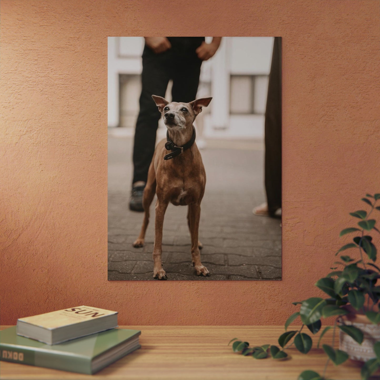 DeiBox - Foto Panel "Baci"