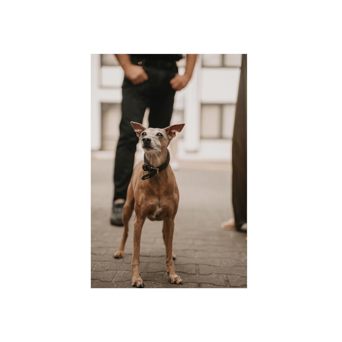 DeiBox - Foto Panel "Baci"